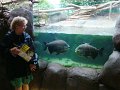 DSC04249 - Copy